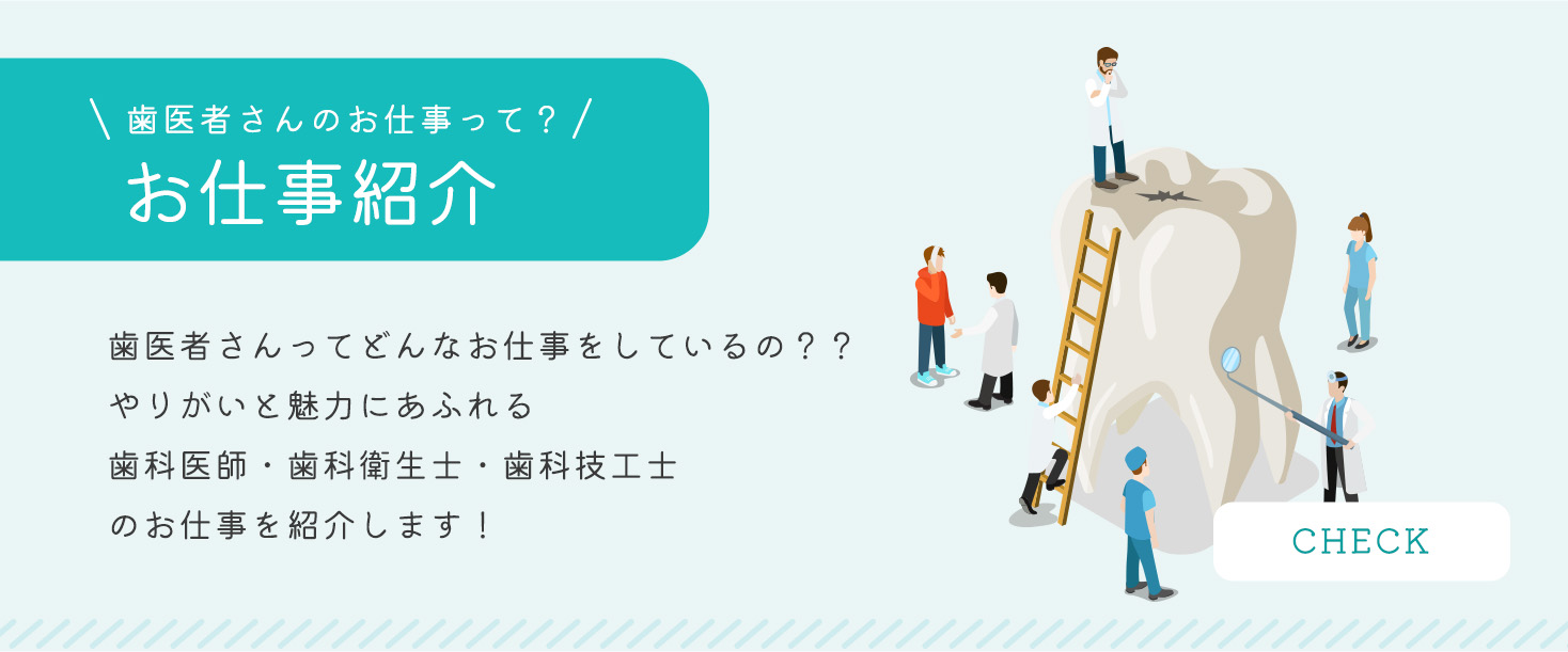 お仕事紹介